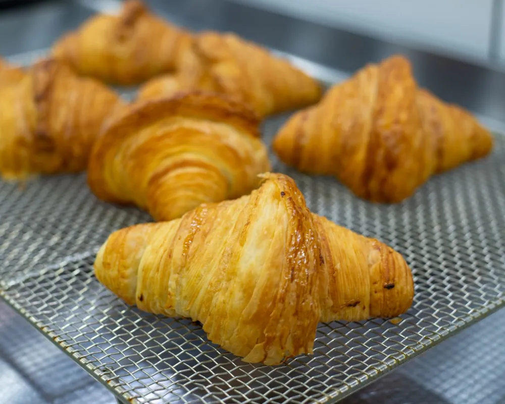 Butter Croissant